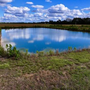 Photo #17 of SOLD property in Off Castoria Rd, Walstonburg, NC 22.8 acres