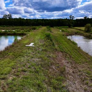Photo #18 of SOLD property in Off Castoria Rd, Walstonburg, NC 22.8 acres