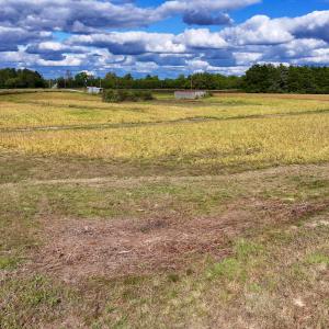 Photo #19 of SOLD property in Off Castoria Rd, Walstonburg, NC 22.8 acres