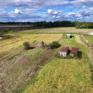 Photo #21 of SOLD property in Off Castoria Rd, Walstonburg, NC 22.8 acres
