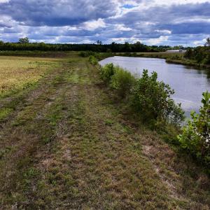 Photo #27 of SOLD property in Off Castoria Rd, Walstonburg, NC 22.8 acres
