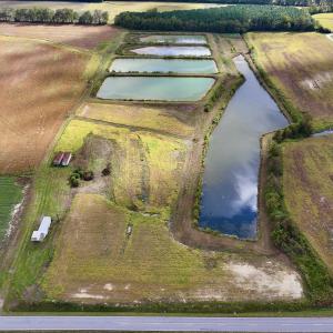 Photo #29 of SOLD property in Off Castoria Rd, Walstonburg, NC 22.8 acres