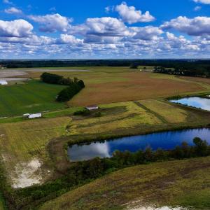 Photo #4 of SOLD property in Off Castoria Rd, Walstonburg, NC 22.8 acres