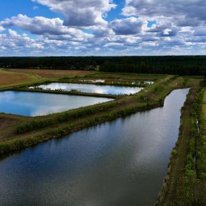 Photo #5 of SOLD property in Off Castoria Rd, Walstonburg, NC 22.8 acres