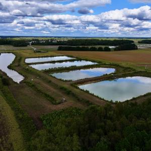 Photo #7 of SOLD property in Off Castoria Rd, Walstonburg, NC 22.8 acres