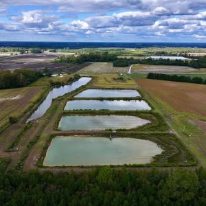 Photo #8 of SOLD property in Off Castoria Rd, Walstonburg, NC 22.8 acres
