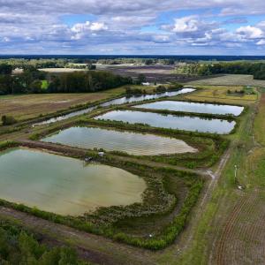 Photo #9 of SOLD property in Off Castoria Rd, Walstonburg, NC 22.8 acres