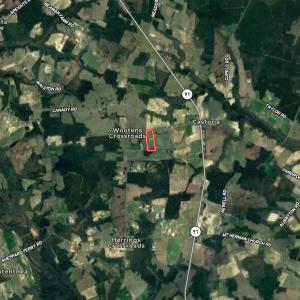 Photo #32 of SOLD property in Off Castoria Rd, Walstonburg, NC 22.8 acres
