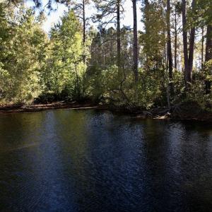 Photo #13 of Off Highway 9, Dillon, SC 26.3 acres