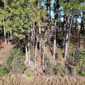 Photo #15 of Off Highway 9, Dillon, SC 26.3 acres