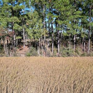 Photo #16 of Off Highway 9, Dillon, SC 26.3 acres