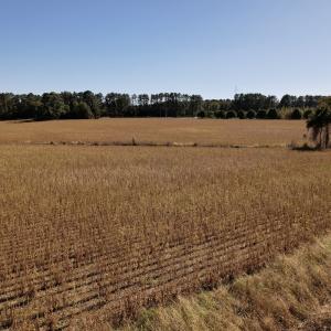 Photo #18 of Off Highway 9, Dillon, SC 26.3 acres