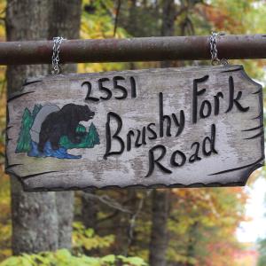 Photo #13 of 2551 Brushy Fork Rd , Head Waters, VA 14.1 acres