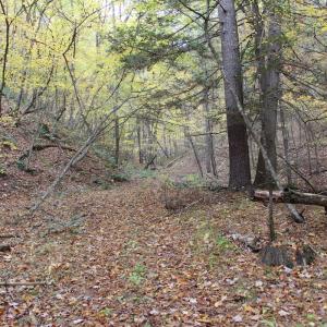 Photo #16 of 2551 Brushy Fork Rd , Head Waters, VA 14.1 acres