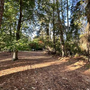 Photo #10 of SOLD property in Off Mason Dr, Chincoteague, VA 0.2 acres