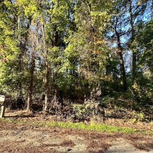 Photo #3 of SOLD property in Off Mason Dr, Chincoteague, VA 0.2 acres