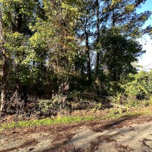 Photo #4 of SOLD property in Off Mason Dr, Chincoteague, VA 0.2 acres