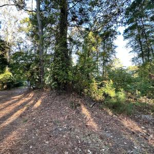 Photo #6 of SOLD property in Off Mason Dr, Chincoteague, VA 0.2 acres
