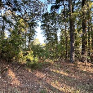 Photo #7 of SOLD property in Off Mason Dr, Chincoteague, VA 0.2 acres