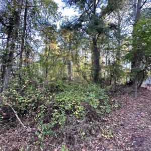 Photo #8 of SOLD property in Off Mason Dr, Chincoteague, VA 0.2 acres