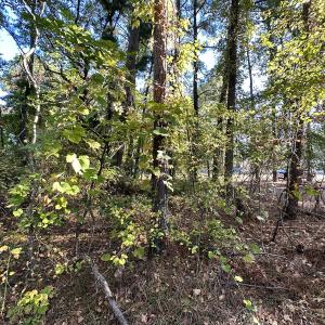 Photo #9 of SOLD property in Off Mason Dr, Chincoteague, VA 0.2 acres