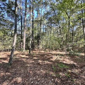 Photo #10 of Off Hollies Church Rd, Melfa, VA 16.8 acres