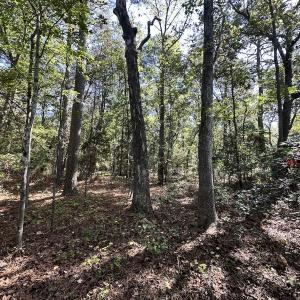 Photo #11 of Off Hollies Church Rd, Melfa, VA 16.8 acres