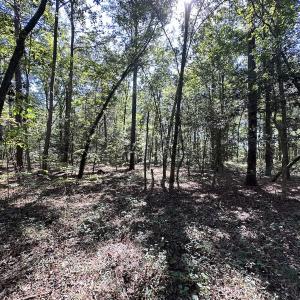 Photo #14 of Off Hollies Church Rd, Melfa, VA 16.8 acres