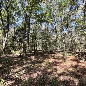 Photo #15 of Off Hollies Church Rd, Melfa, VA 16.8 acres