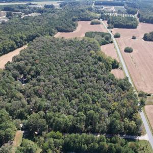 Photo #3 of Off Hollies Church Rd, Melfa, VA 16.8 acres