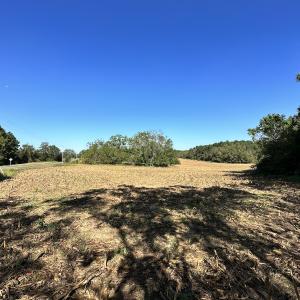 Photo #10 of Off Hollies Church Rd, Melfa, VA 78.9 acres