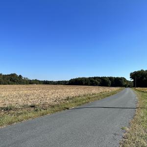 Photo #11 of Off Hollies Church Rd, Melfa, VA 78.9 acres