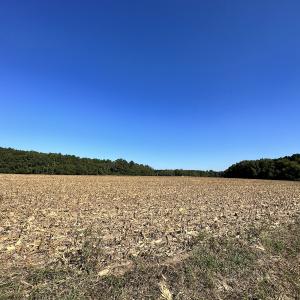 Photo #18 of Off Hollies Church Rd, Melfa, VA 78.9 acres