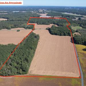 Photo #2 of Off Hollies Church Rd, Melfa, VA 78.9 acres