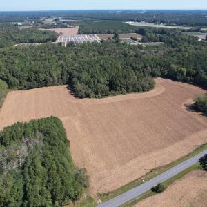 Photo #8 of Off Hollies Church Rd, Melfa, VA 78.9 acres