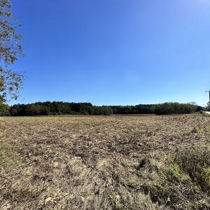 Photo #9 of Off Hollies Church Rd, Melfa, VA 78.9 acres