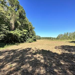 Photo #22 of Off Hollies Church Rd, Melfa, VA 78.9 acres