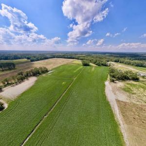 Photo #2 of SOLD property in Off Craven Farms Road, Vanceboro, NC 18.6 acres