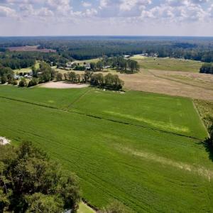 Photo #16 of SOLD property in Off Craven Farms Road, Vanceboro, NC 18.6 acres
