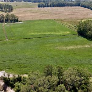 Photo #17 of SOLD property in Off Craven Farms Road, Vanceboro, NC 18.6 acres