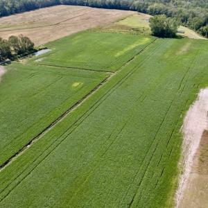 Photo #18 of SOLD property in Off Craven Farms Road, Vanceboro, NC 18.6 acres
