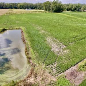 Photo #20 of SOLD property in Off Craven Farms Road, Vanceboro, NC 18.6 acres
