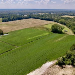 Photo #3 of SOLD property in Off Craven Farms Road, Vanceboro, NC 18.6 acres