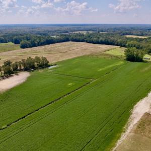 Photo #4 of SOLD property in Off Craven Farms Road, Vanceboro, NC 18.6 acres