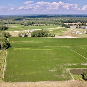 Photo #10 of SOLD property in Off Craven Farms Road, Vanceboro, NC 18.6 acres