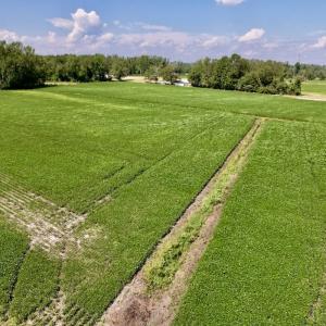 Photo #21 of SOLD property in Off Craven Farms Road, Vanceboro, NC 18.6 acres