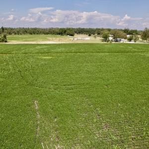 Photo #22 of SOLD property in Off Craven Farms Road, Vanceboro, NC 18.6 acres