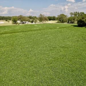 Photo #24 of SOLD property in Off Craven Farms Road, Vanceboro, NC 18.6 acres