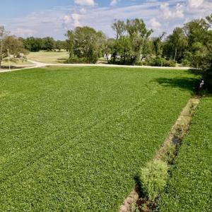 Photo #25 of SOLD property in Off Craven Farms Road, Vanceboro, NC 18.6 acres