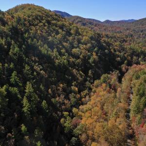 Photo #14 of SOLD property in Off Pole Bridge Rd, Stuart, VA 35.9 acres